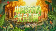 奋进的春天 | 中国经济的“光合作用” 奋进的春天 | 中国经济的“光合作用”