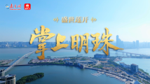 盛世莲开|掌上明珠 盛世莲开|掌上明珠